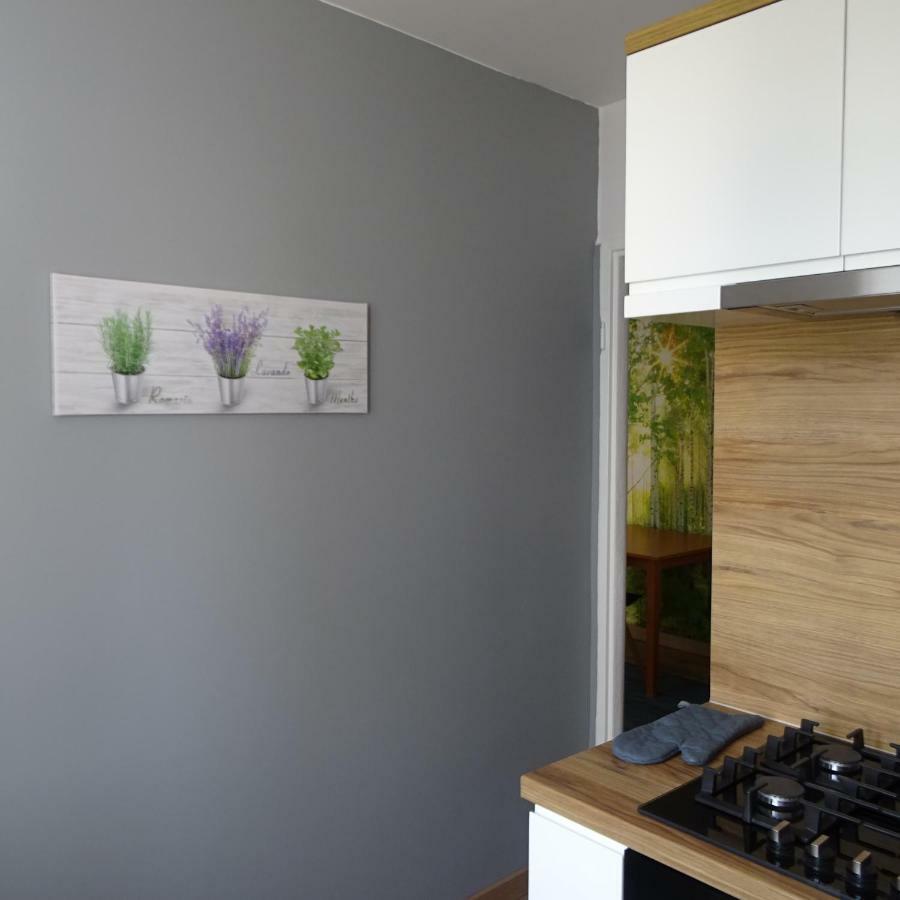 Mieszkanie 4-Pokojowe W Toruniu Przy Umk Exteriör bild